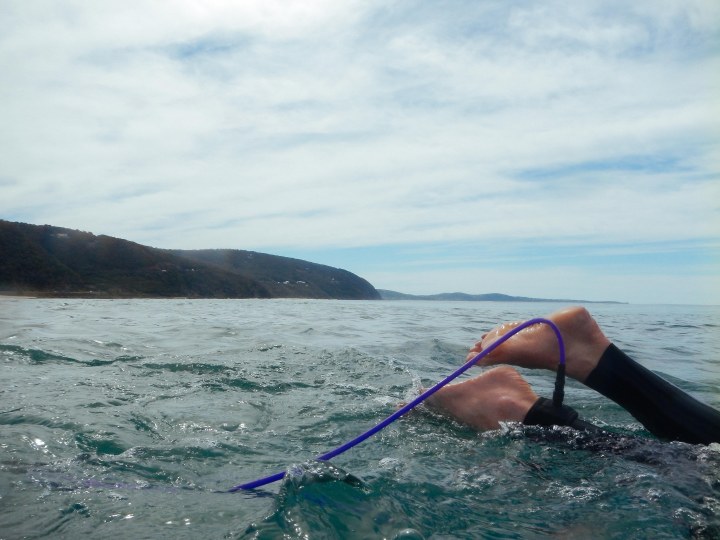 swimming in the ocan